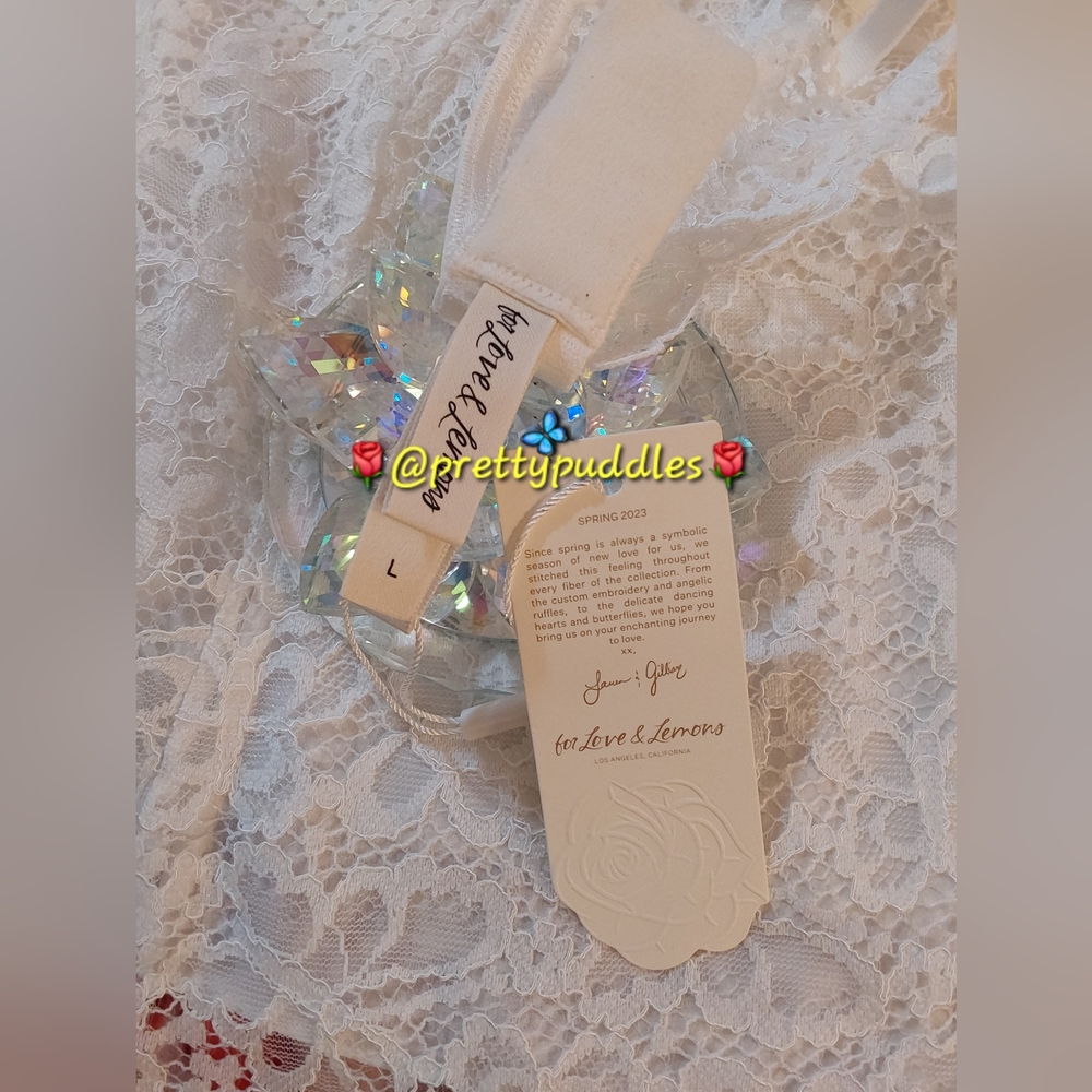 π HP π₯ π¦ For Love & Lemons Butterfly Lace Slip Dress π¦ - Picture 14 of 16